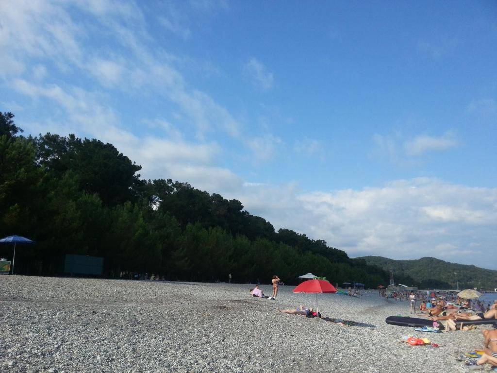 Фотографии номера Трехместный номер с видом на горы в Гостевом доме Гостевой дом Южная Пальмира Пицунда